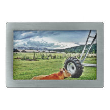 farm belt buckle