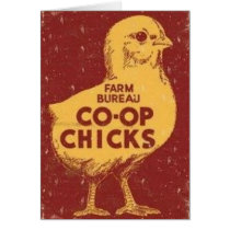 Farm Bureau Co-Op Chicks Card by ZephyrusBooks Farm Bureau Co-Op Chicks Card