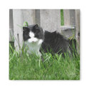 Farm Cat Art magnets by Cat_Gifts Farm Cat Art magnets