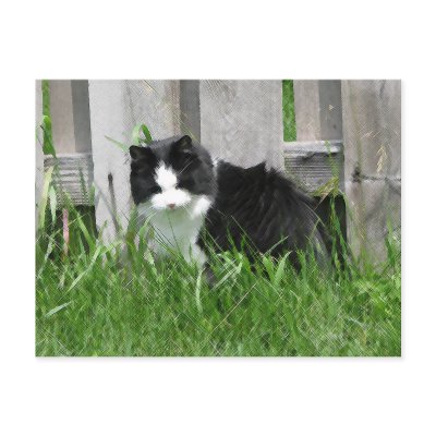 Farm Cat Art Postcard by Cat_Gifts
