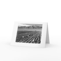 Farm, Farm Workers, Mt. Williamson 1943 cards by Manzanar Farm, Farm Workers, Mt. Williamson 1943 cards