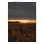farm field cards