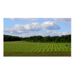 Farm field striped land farmer harvesting photo business card templates