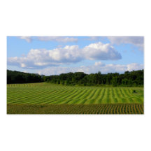 Farm field striped land farmer harvesting photo business card templates