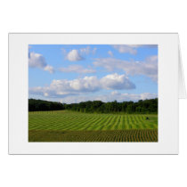 Farm field striped land farmer harvesting photo greeting cards