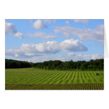 Farm field striped land farmer harvesting photo greeting card