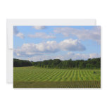 Farm field striped land farmer harvesting photo announcements
