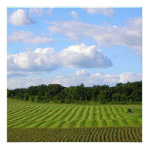 Farm field striped land farmer harvesting photo personalized invitations