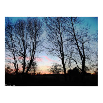 Farm Field Sunset posters