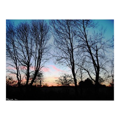 Farm Field Sunset Posters by scooter4242