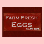 Farm Fresh Eggs Postcard postcards