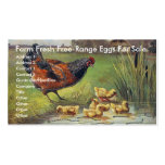 Farm Fresh Free-Range Eggs For Sale Business Card