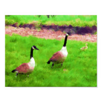 Farm Geese Poster posters