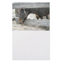 Farm Horse Humor Stationery Paper