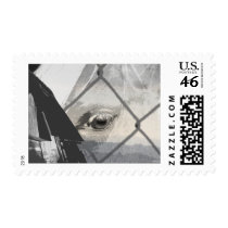Farm Horse postage by flyingdisc Farm Horse postage