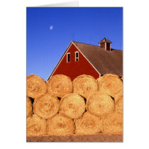 Farm in Iowa Greeting Card