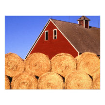 Farm in Iowa Custom Invitation