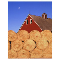 Farm in Iowa flyers