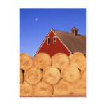 Farm in Iowa Postcards