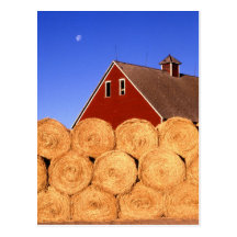 Farm in Iowa Postcards