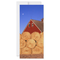 Farm in Iowa Rack Cards