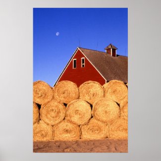 Farm, Iowa print