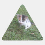 Farm Kitten 2 Sticker
