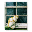 Farm Kitty posters by dimple7 Farm Kitty posters
