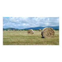 Farm landscape photo cards by gavila_pt Farm landscape photo cards