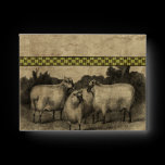 Farm Life envelopes