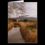 Farm Life Greeting Card cards