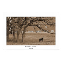 Farm Life posters