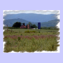 Farm Livin posters