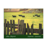 Farm scene postcards