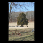 Farm Town Canvas Print