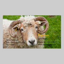 Farmer Business Card business cards