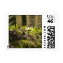 Farmer's Market Herbs Postage postage