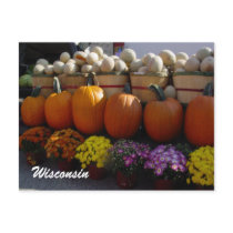 Farmer's Market postcards