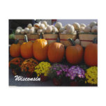 Farmer's Market Post Cards