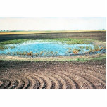 Farming Affecting Wetlands Photo Cut Outs