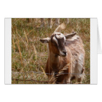 Farming goats cards