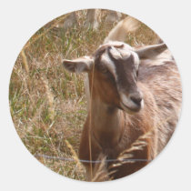 Farming goats stickers