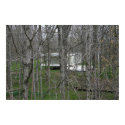 Farnsworth House, Woods posters