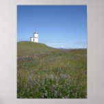 Faro del punto del ganado poster