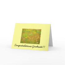 Farty pants Smarty Pants GRADUATE cards by KatAnnette Farty pants Smarty Pants GRADUATE cards