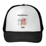 Fascinated By Skin (Skin Layers) Mesh Hat