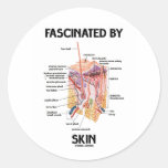 Fascinated By Skin (Skin Layers) Round Sticker