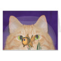 Fascination card