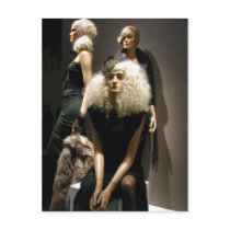 Fashion and Style Postcard