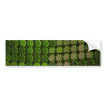 Fashion Bumper Sticker